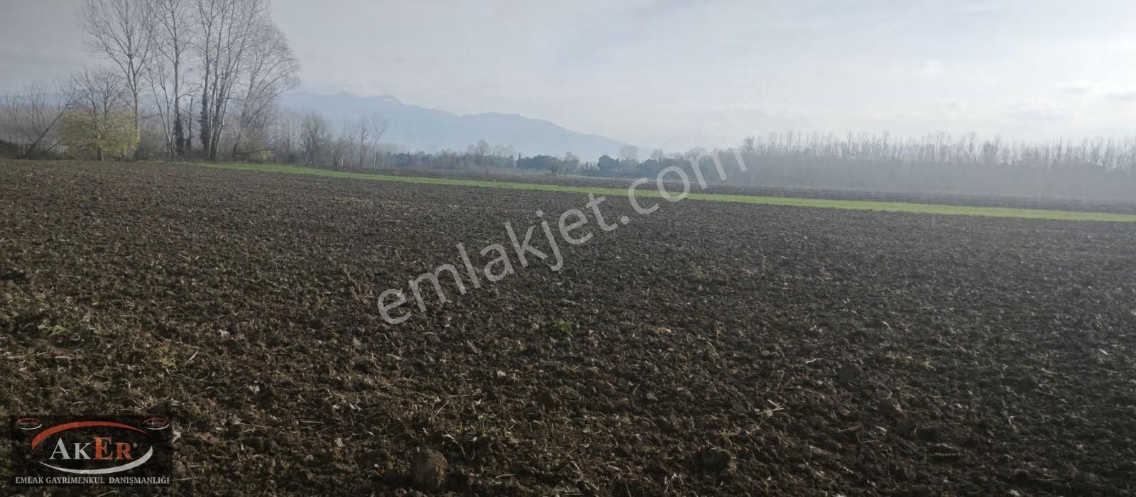 Mahalle İçine Yakın Konumda .yolu Var Yatırımın Kıralı - Görsel 4