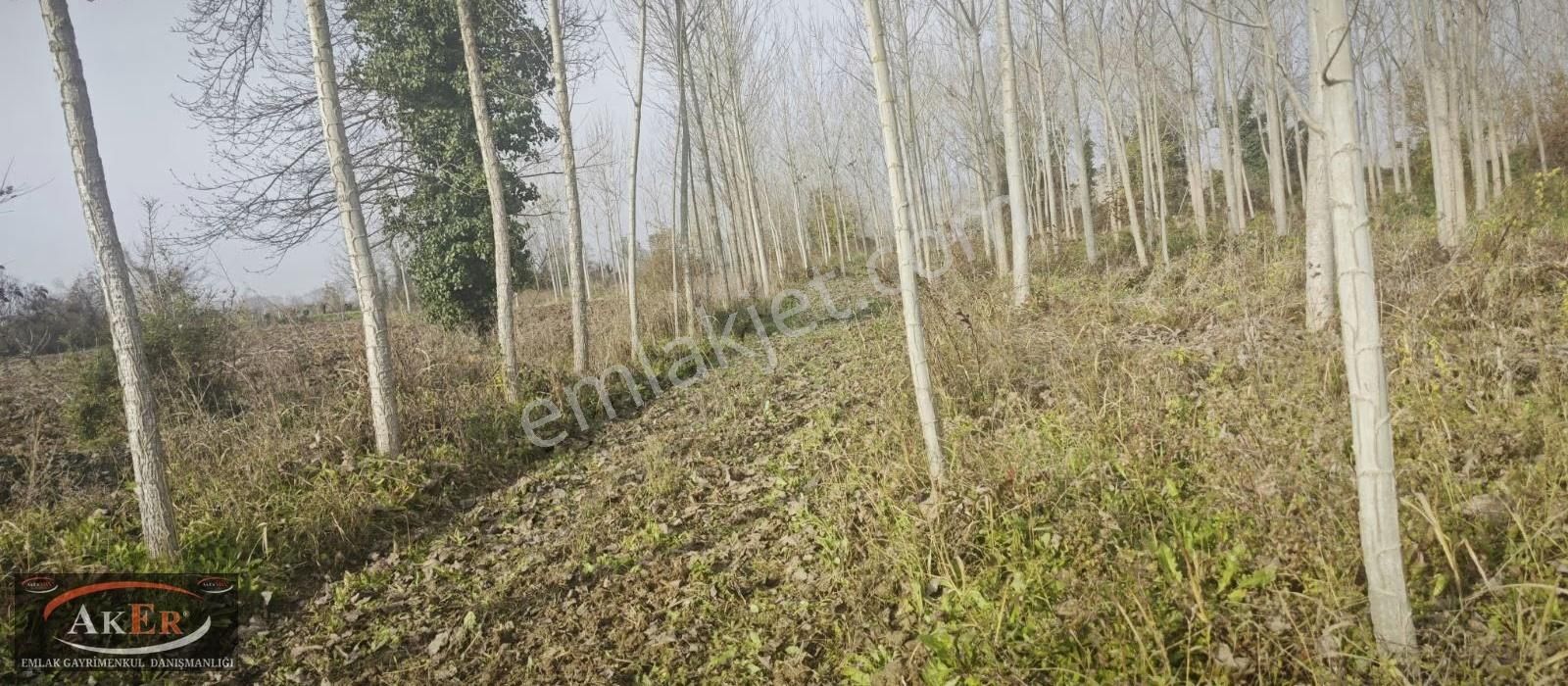 Mahalle İçine Yakın Konumda .yolu Var Yatırımın Kıralı - Görsel 12
