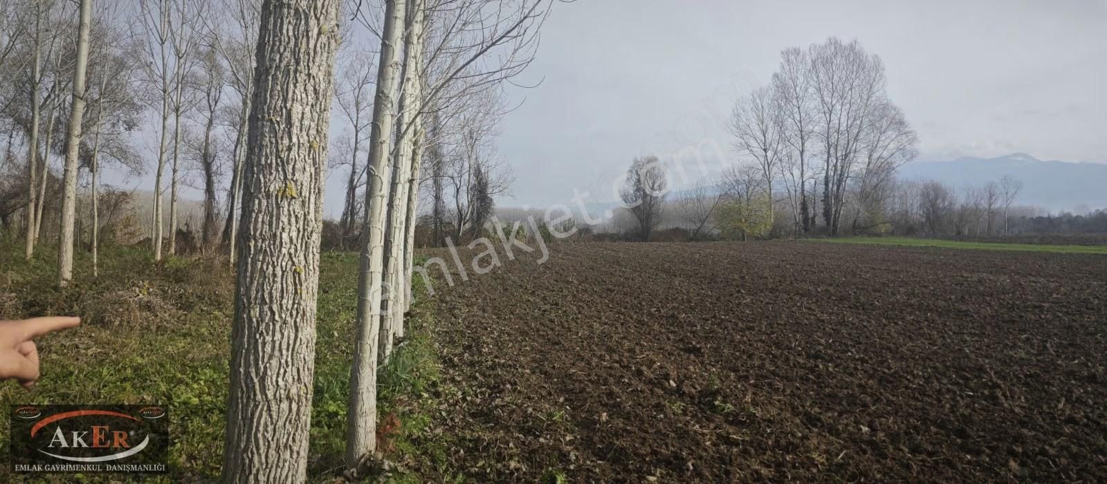 Mahalle İçine Yakın Konumda .yolu Var Yatırımın Kıralı - Görsel 8