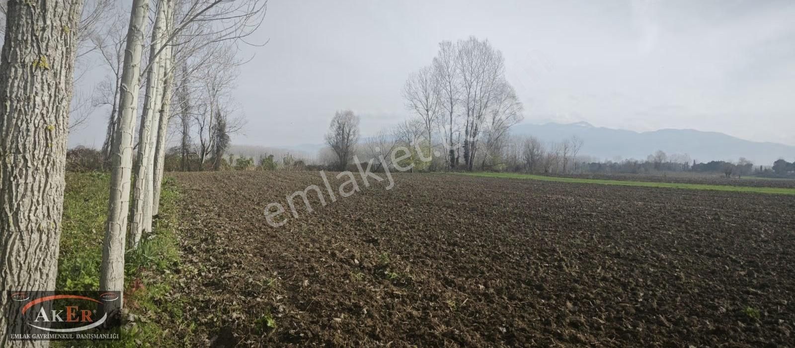 Mahalle İçine Yakın Konumda .yolu Var Yatırımın Kıralı