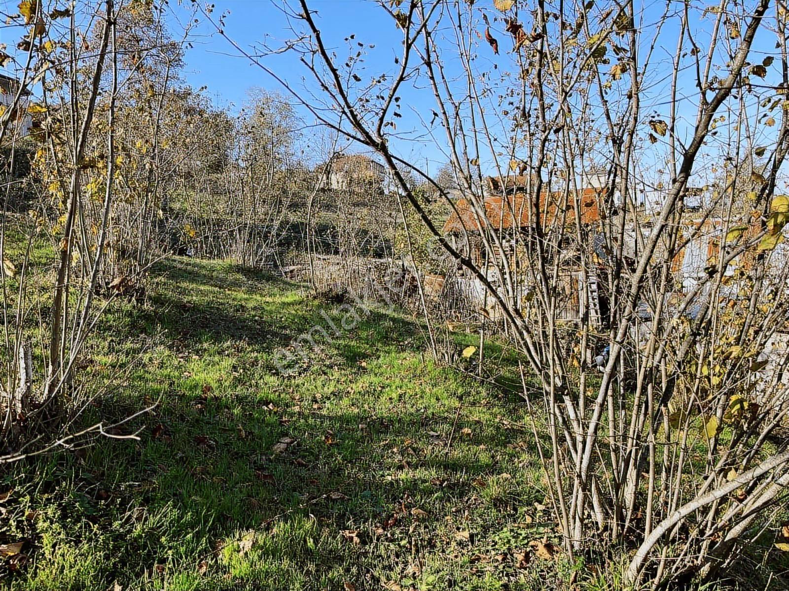 Ruşen Aydın Gayrimenkulden Kaynaşlı Merkezde Satılık Arsa - Görsel 29