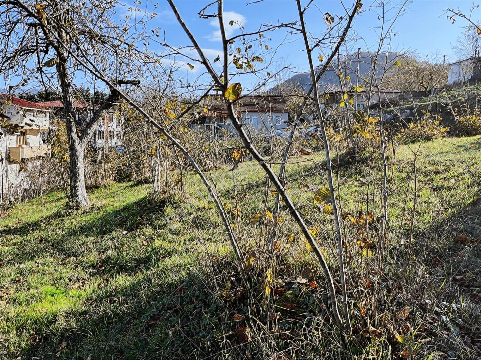 Ruşen Aydın Gayrimenkulden Kaynaşlı Merkezde Satılık Arsa - Görsel 32