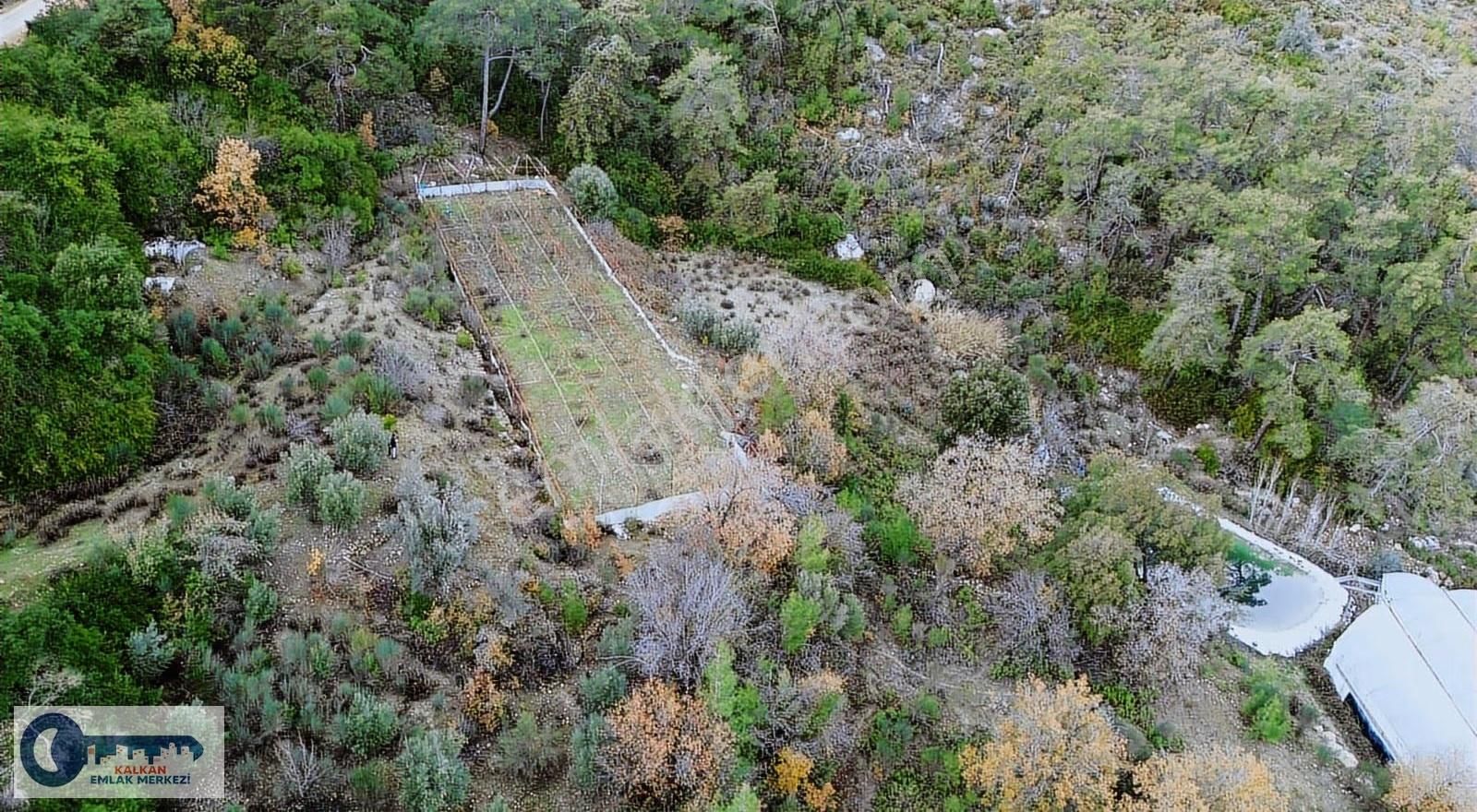 Kaş Akörü'de 2756 M2 Arazi + 1000 M2 Sera Tek Tapu - Görsel 7