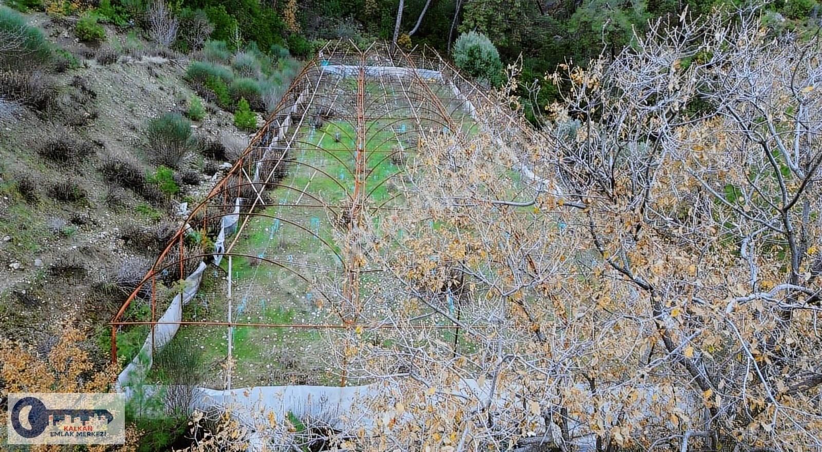 Kaş Akörü'de 2756 M2 Arazi + 1000 M2 Sera Tek Tapu - Görsel 2