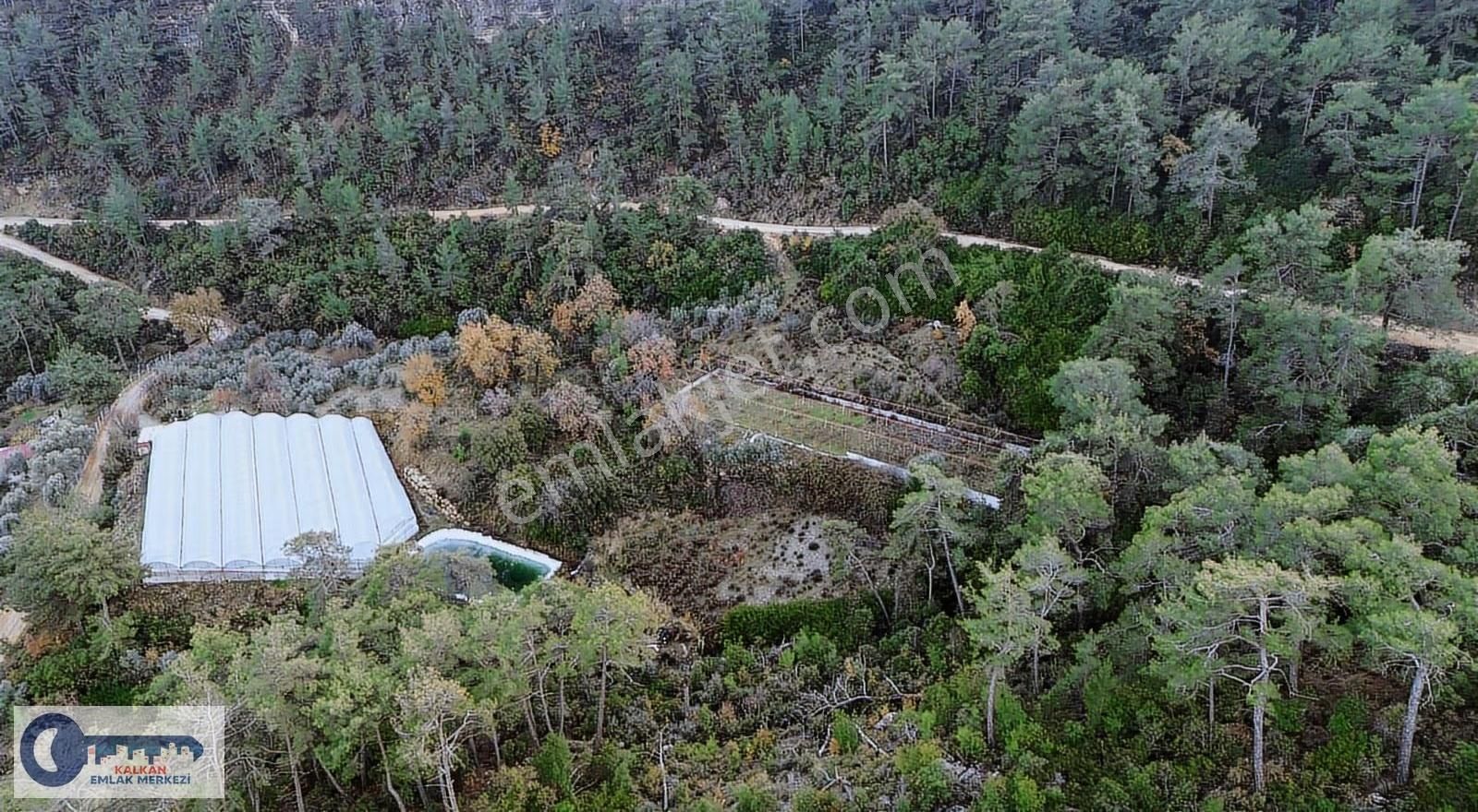 Kaş Akörü'de 2756 M2 Arazi + 1000 M2 Sera Tek Tapu - Görsel 5