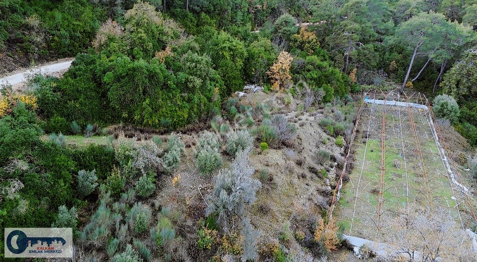 Kaş Akörü'de 2756 M2 Arazi + 1000 M2 Sera Tek Tapu - Görsel 6