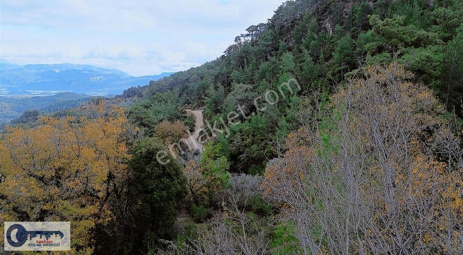 Kaş Akörü'de 2756 M2 Arazi + 1000 M2 Sera Tek Tapu - Görsel 12