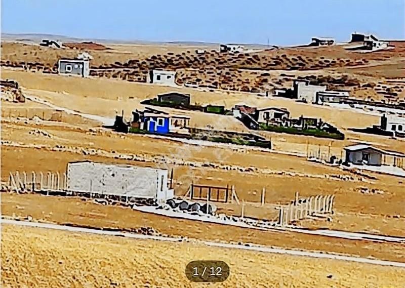 Müstakil Tapulu İmarlı Bağ Evi Arsası - Görsel 5