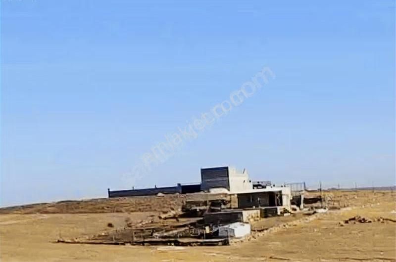 Müstakil Tapulu İmarlı Bağ Evi Arsası - Görsel 4