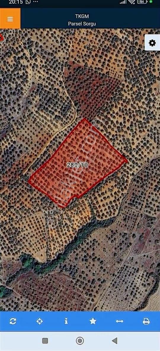 Ezine Güllüce'de Uygun Fiyatlı Zeytinlik