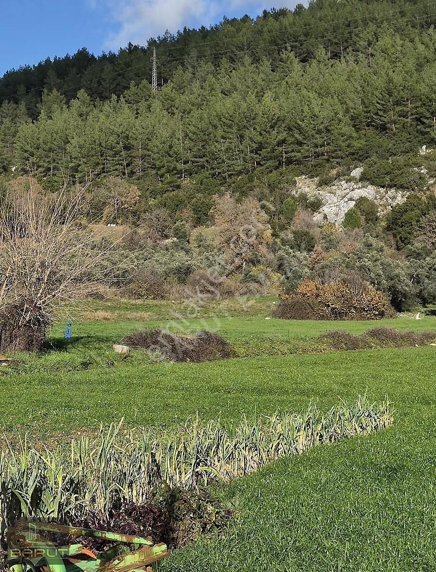 Doğanköy Merkezde İmarlı Arsa