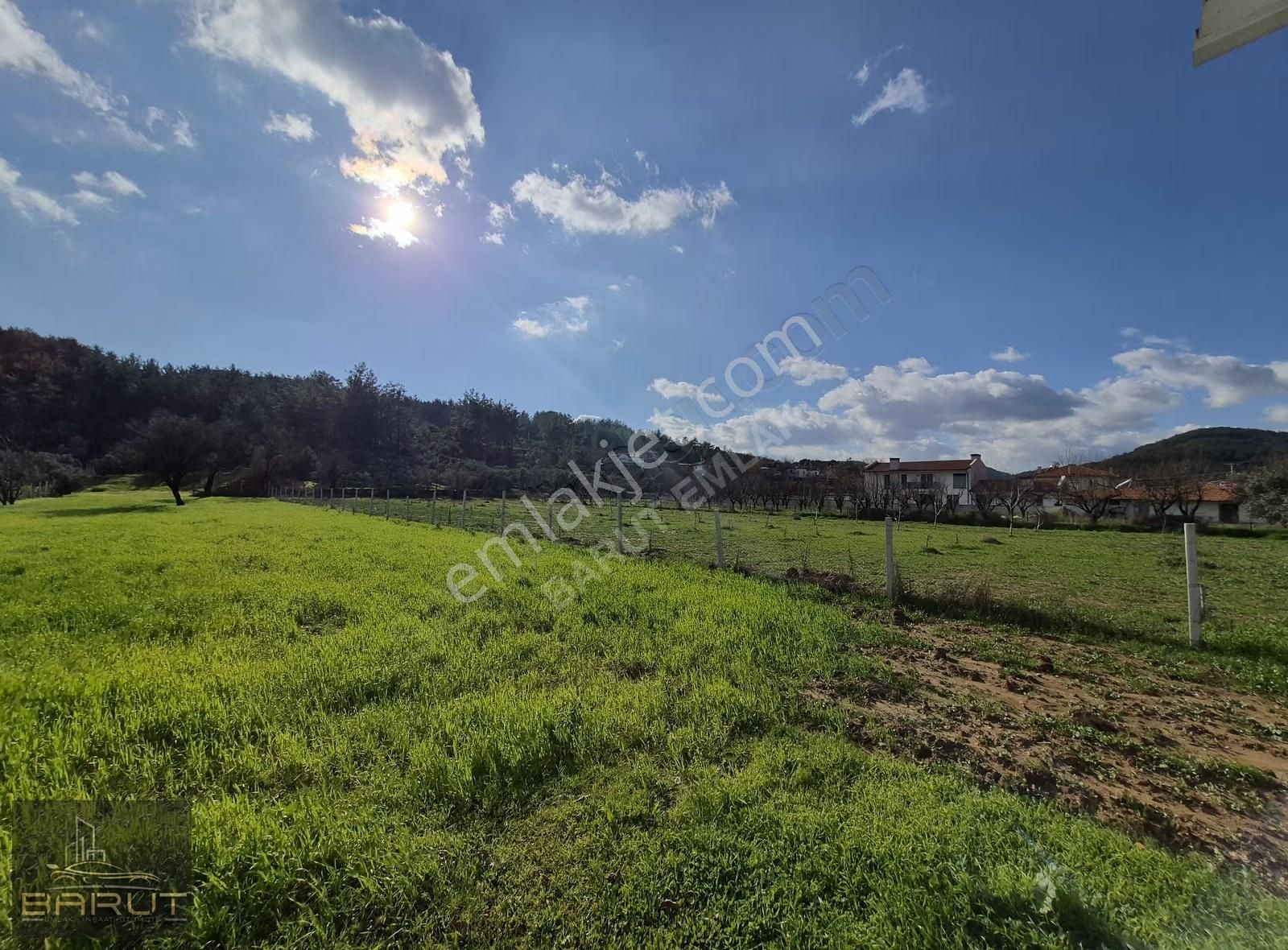 Muğla Yenice'de Doğanın Kalbinde Yaşam Alanı - Görsel 7