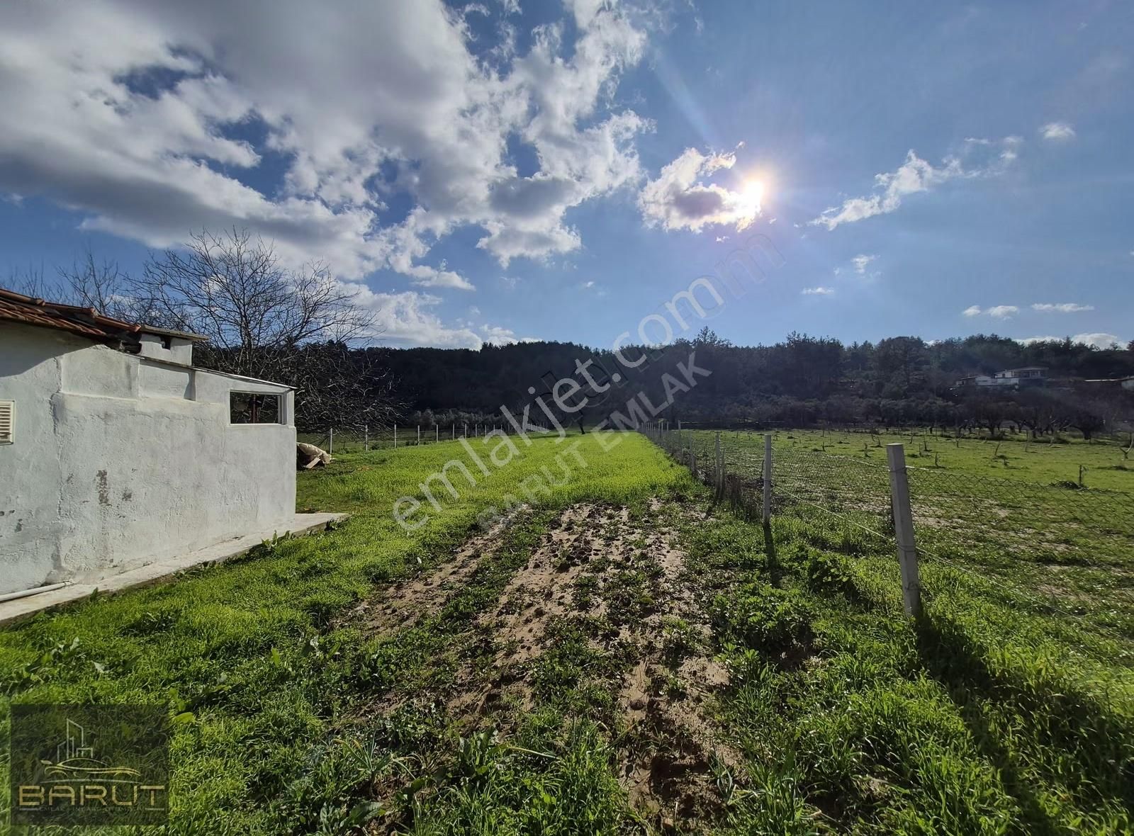 Muğla Yenice'de Doğanın Kalbinde Yaşam Alanı - Görsel 3