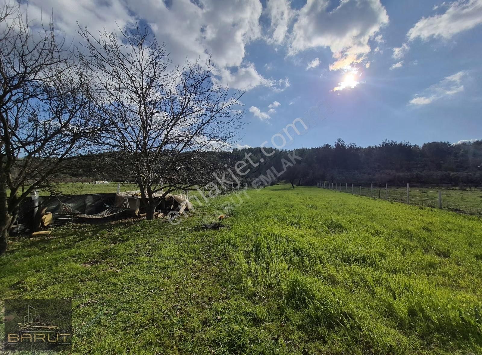 Muğla Yenice'de Doğanın Kalbinde Yaşam Alanı - Görsel 18