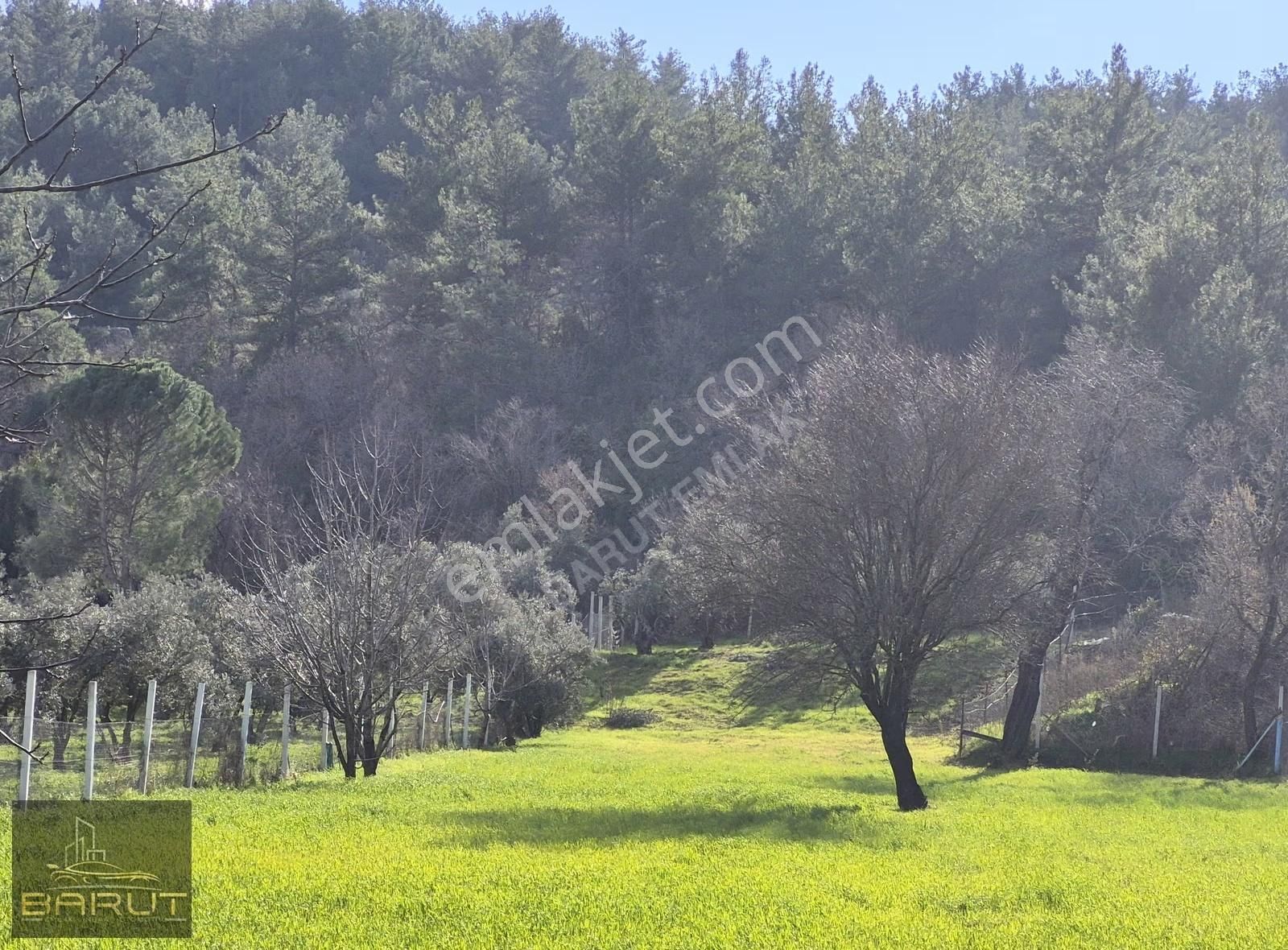 Muğla Yenice'de Doğanın Kalbinde Yaşam Alanı - Görsel 20