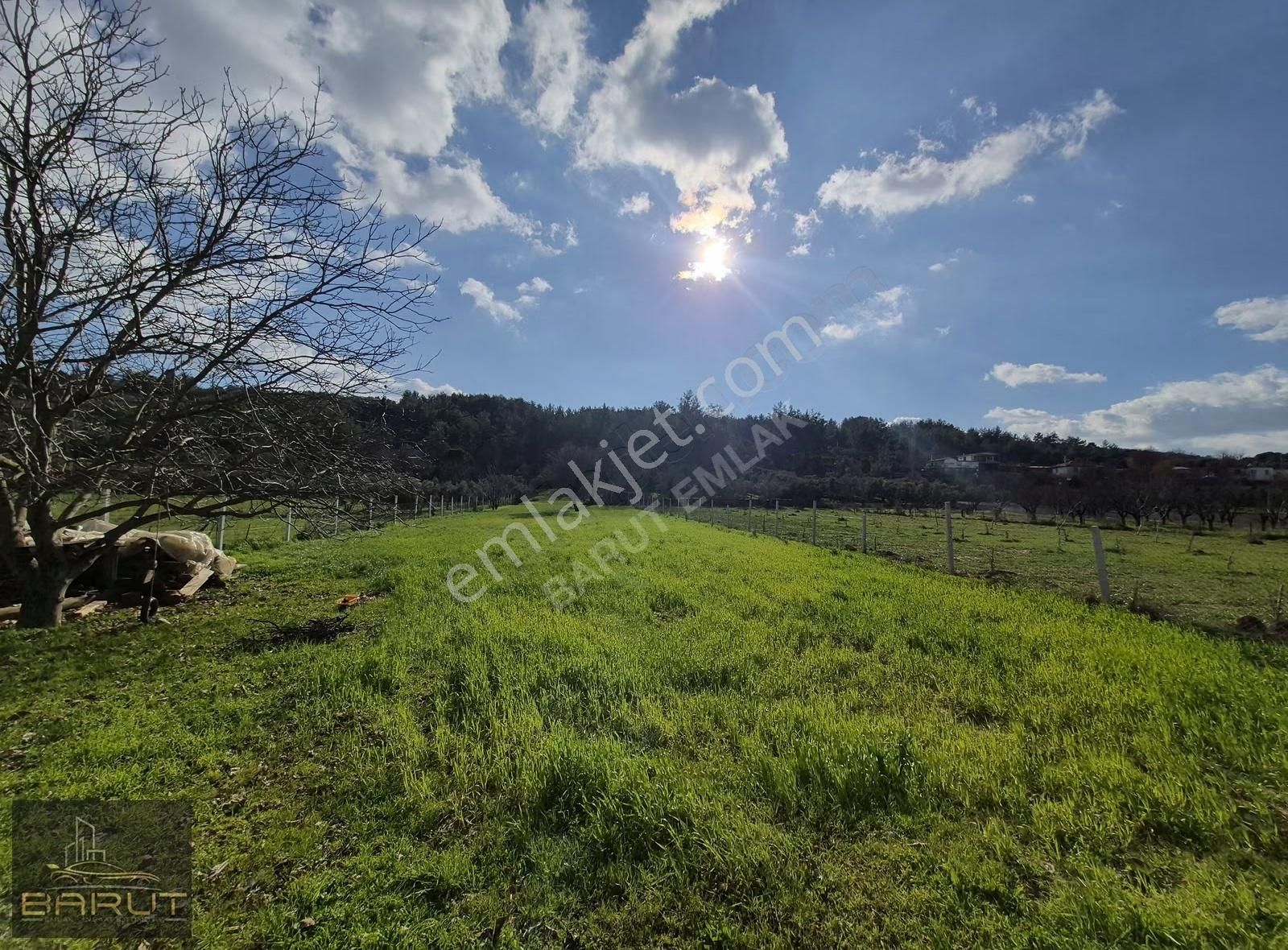 Muğla Yenice'de Doğanın Kalbinde Yaşam Alanı - Görsel 12