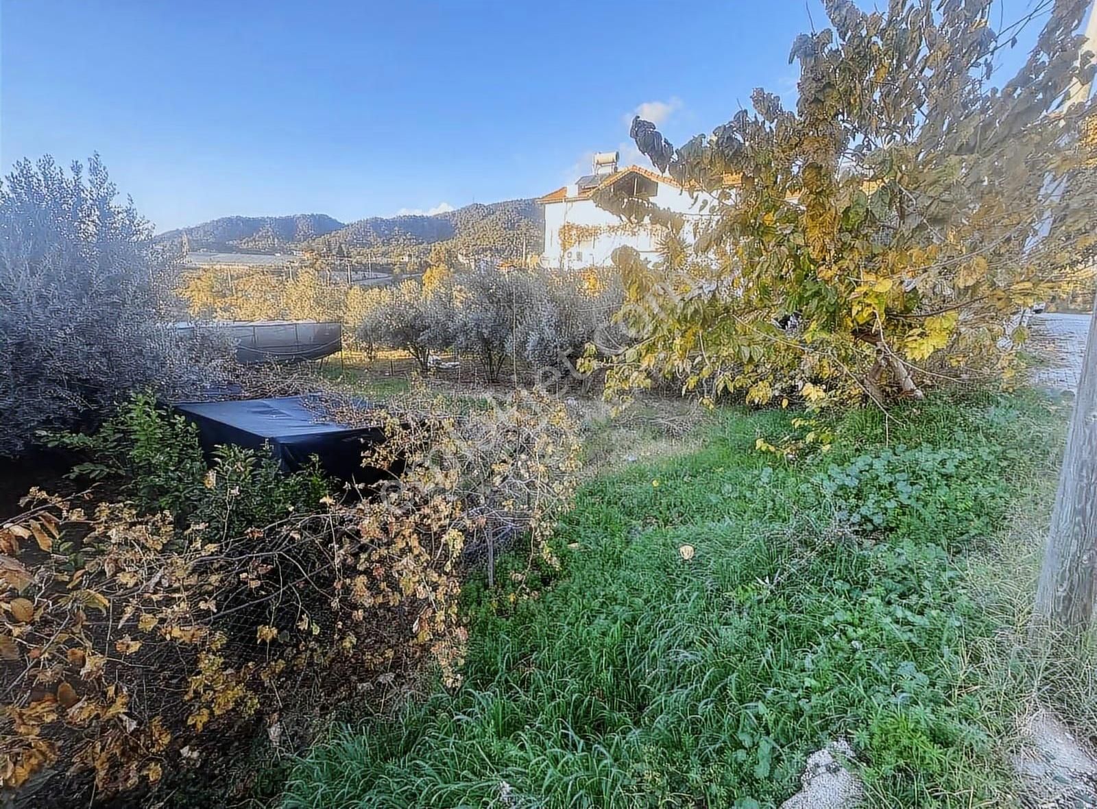 Eldirekte Fırsat 475 M2 Köyiçi İmarlı Kupon Arsa - Görsel 5