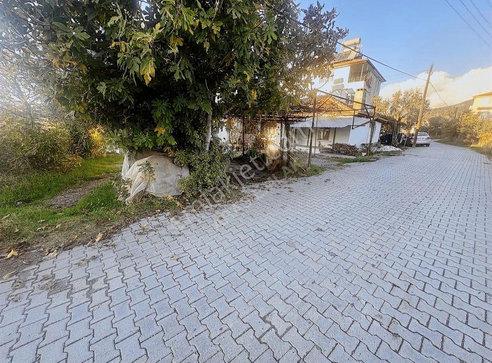 Eldirekte Fırsat 475 M2 Köyiçi İmarlı Kupon Arsa - Görsel 3