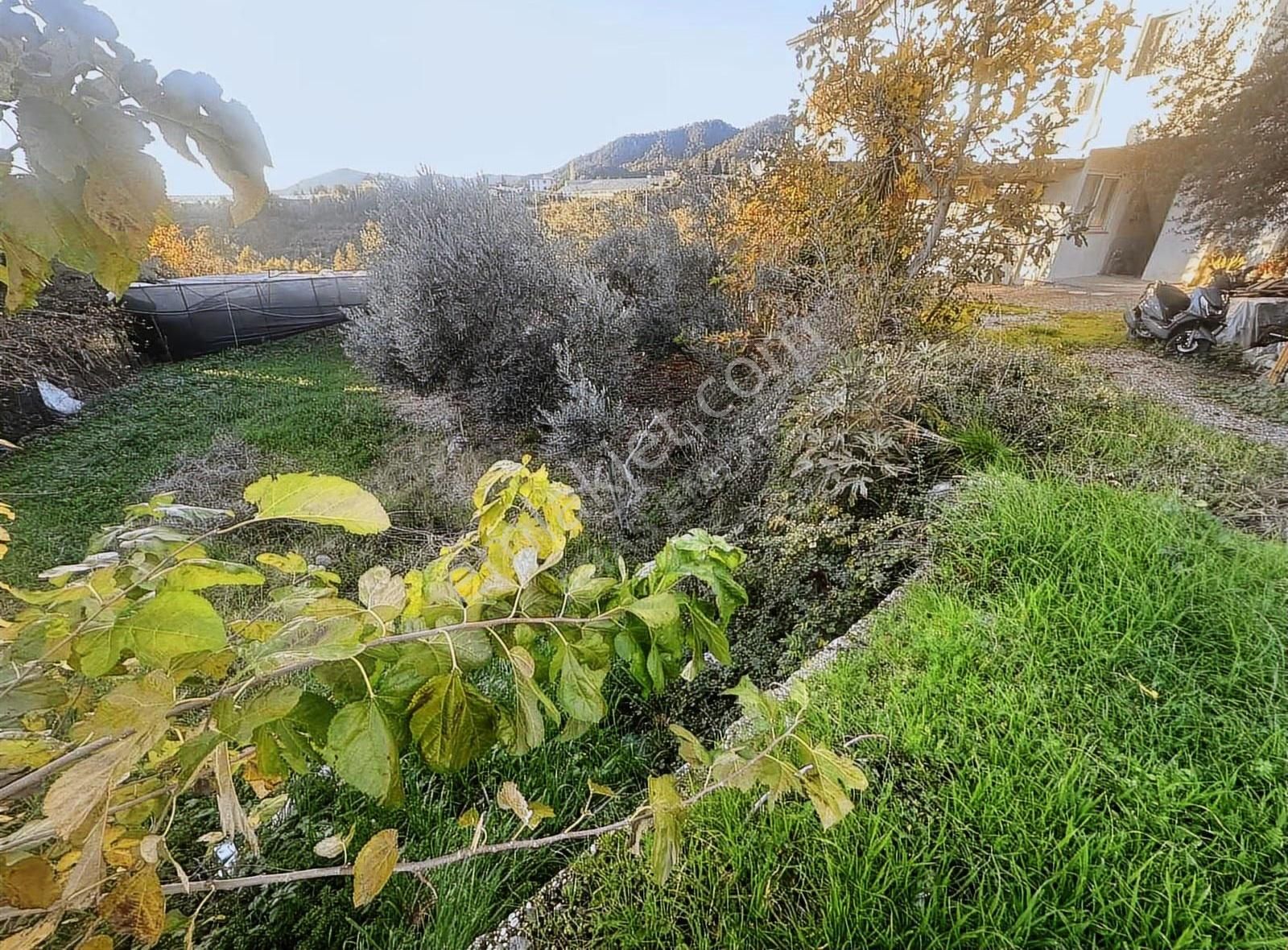 Eldirekte Fırsat 475 M2 Köyiçi İmarlı Kupon Arsa - Görsel 6