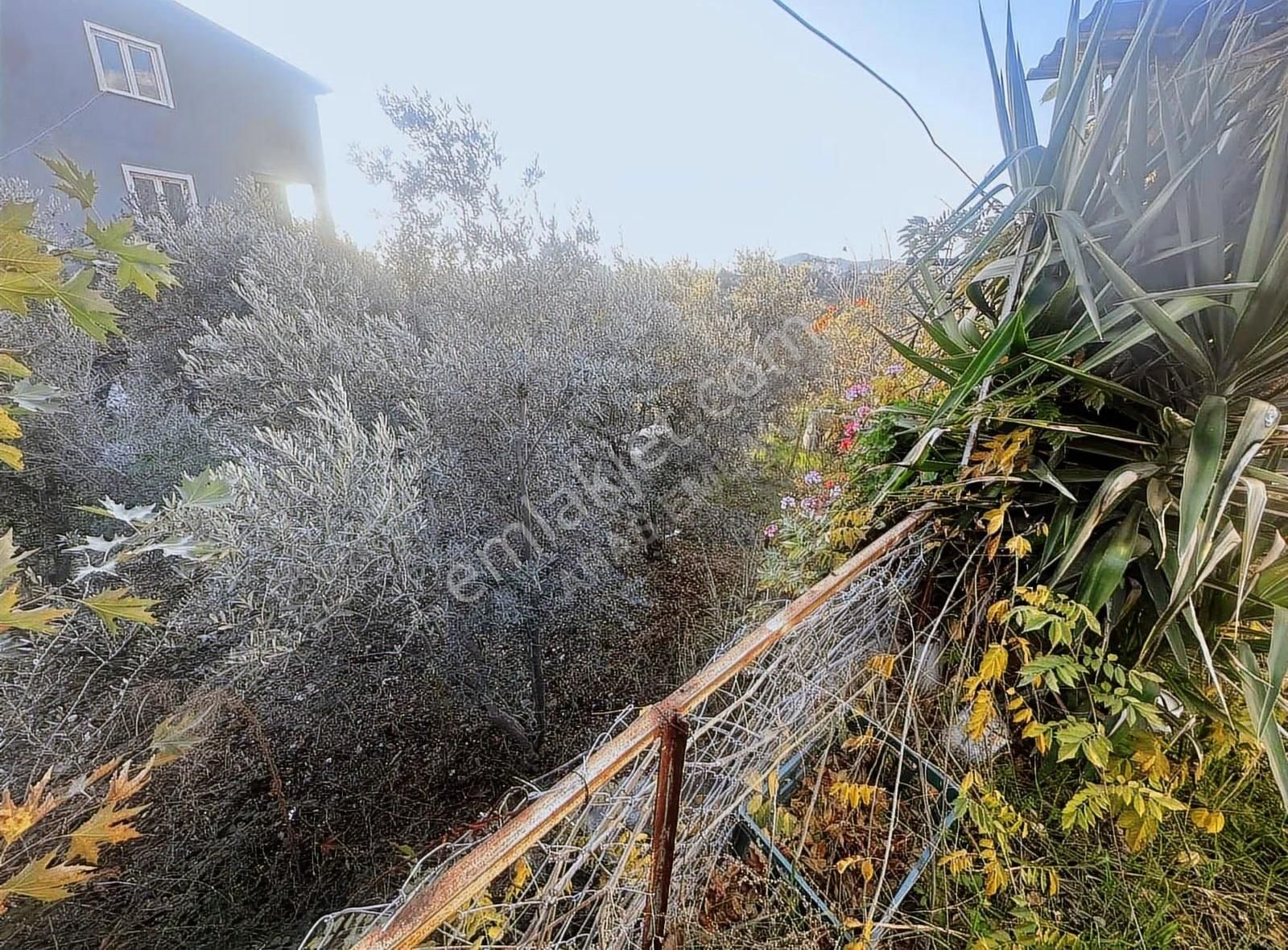 Eldirekte Fırsat 475 M2 Köyiçi İmarlı Kupon Arsa - Görsel 10