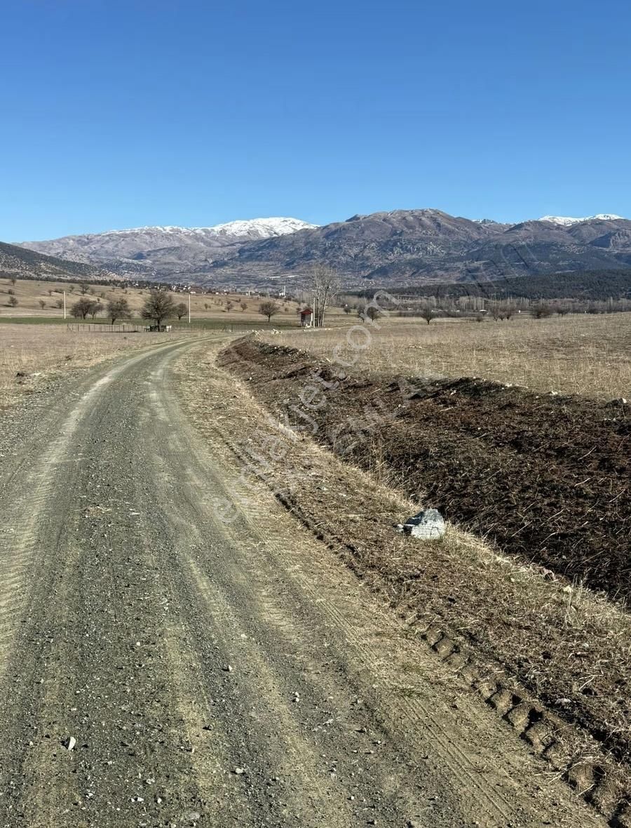 Yayla Karaçulha Da Satılık 1700 M2 Tarla - Görsel 4