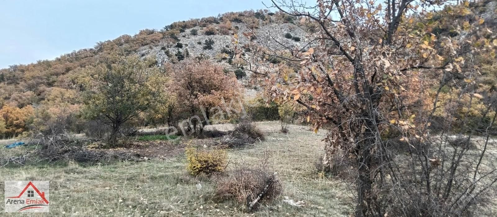 Arena Emlaktan Hamide'de Hobi Bahçesi Olacak Tarla - Görsel 24