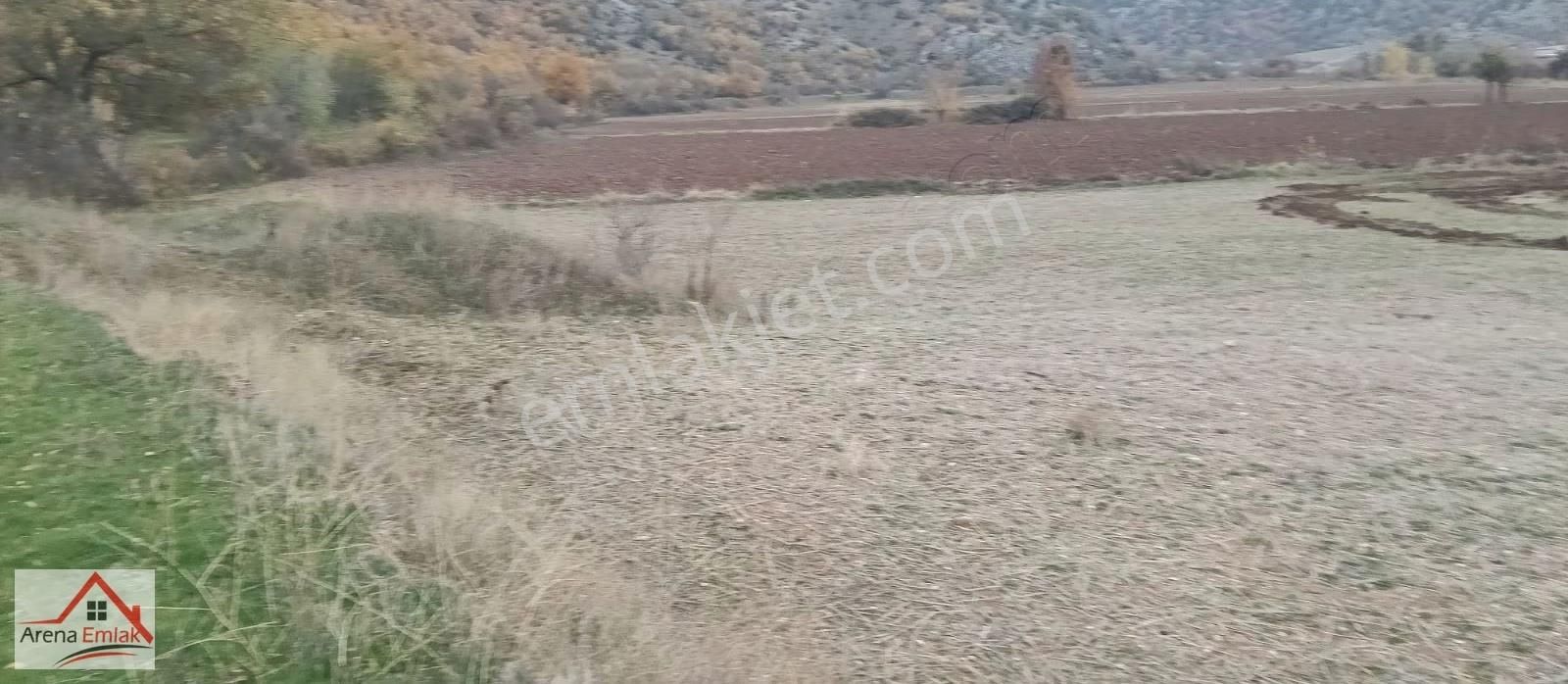 Arena Emlaktan Hamide'de Hobi Bahçesi Olacak Tarla - Görsel 26