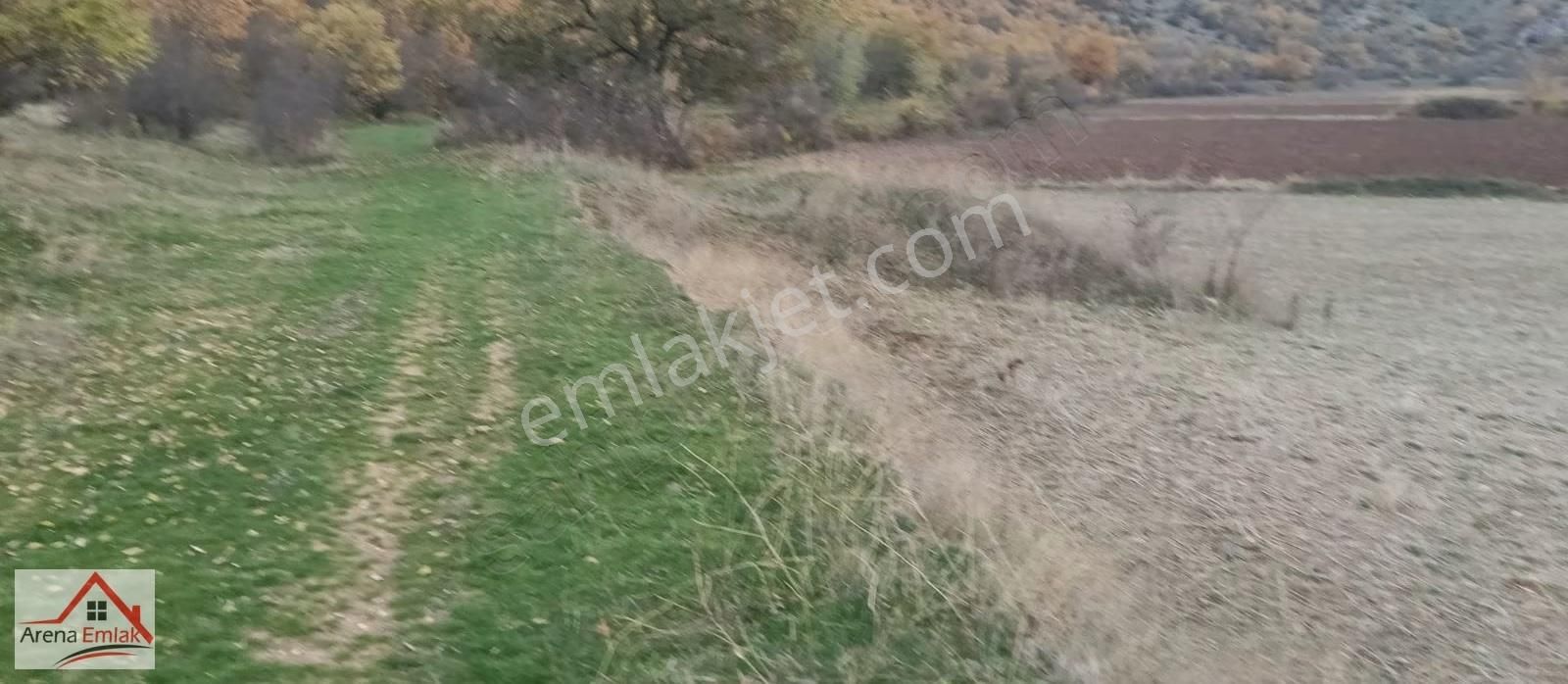 Arena Emlaktan Hamide'de Hobi Bahçesi Olacak Tarla - Görsel 20