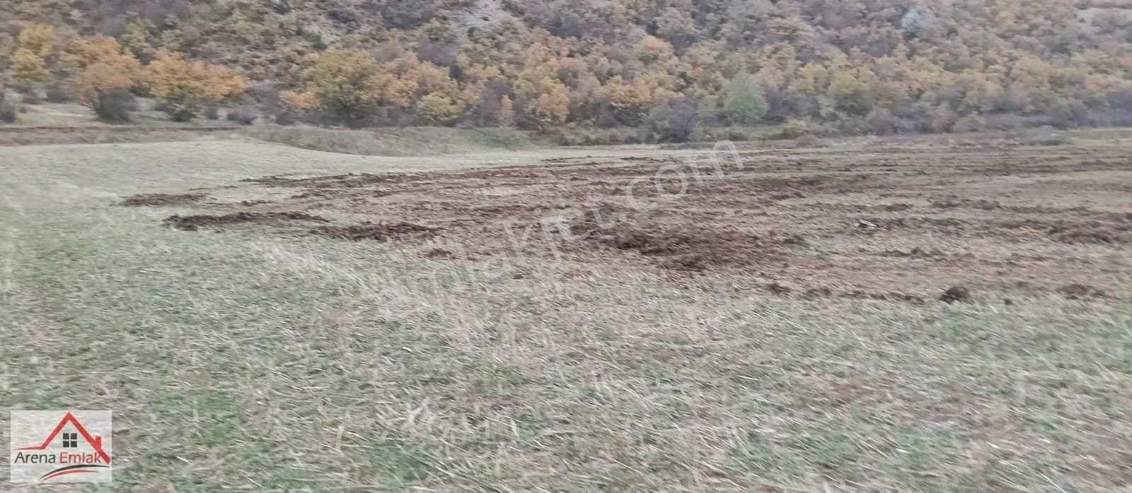 Arena Emlaktan Hamide'de Hobi Bahçesi Olacak Tarla - Görsel 27