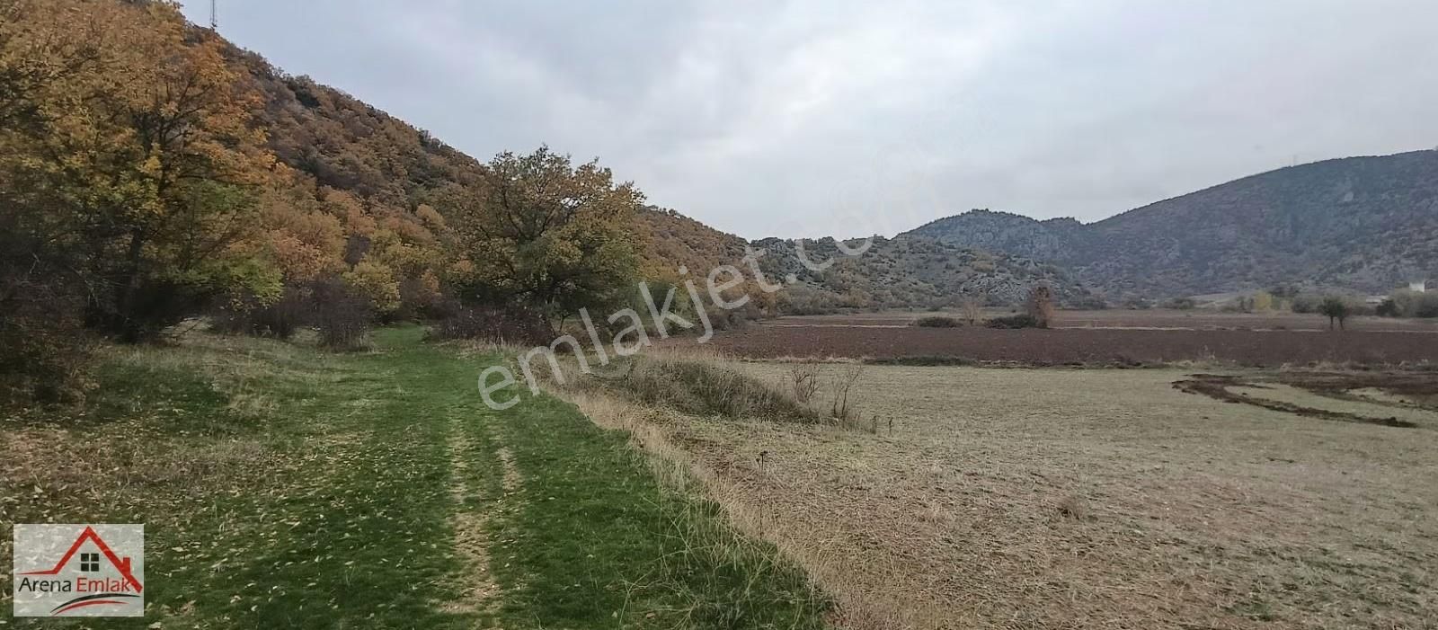 Arena Emlaktan Hamide'de Hobi Bahçesi Olacak Tarla - Görsel 17