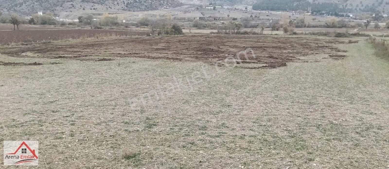Arena Emlaktan Hamide'de Hobi Bahçesi Olacak Tarla - Görsel 15