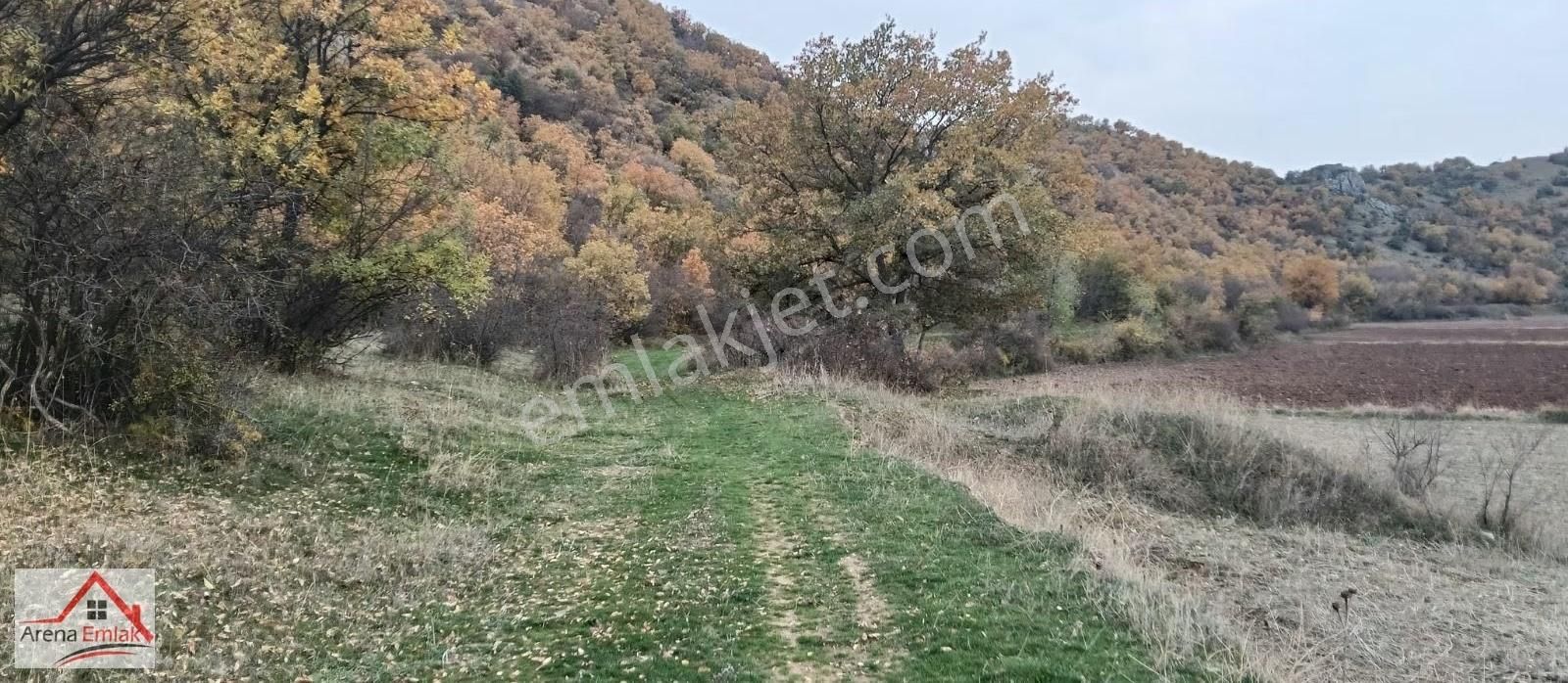 Arena Emlaktan Hamide'de Hobi Bahçesi Olacak Tarla - Görsel 11