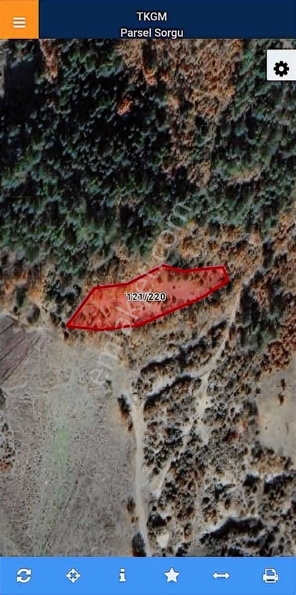 Bursa Gemlik Fındıcak Satılık 1928 M2 Tarla. Emniyet Emlak Ofisi