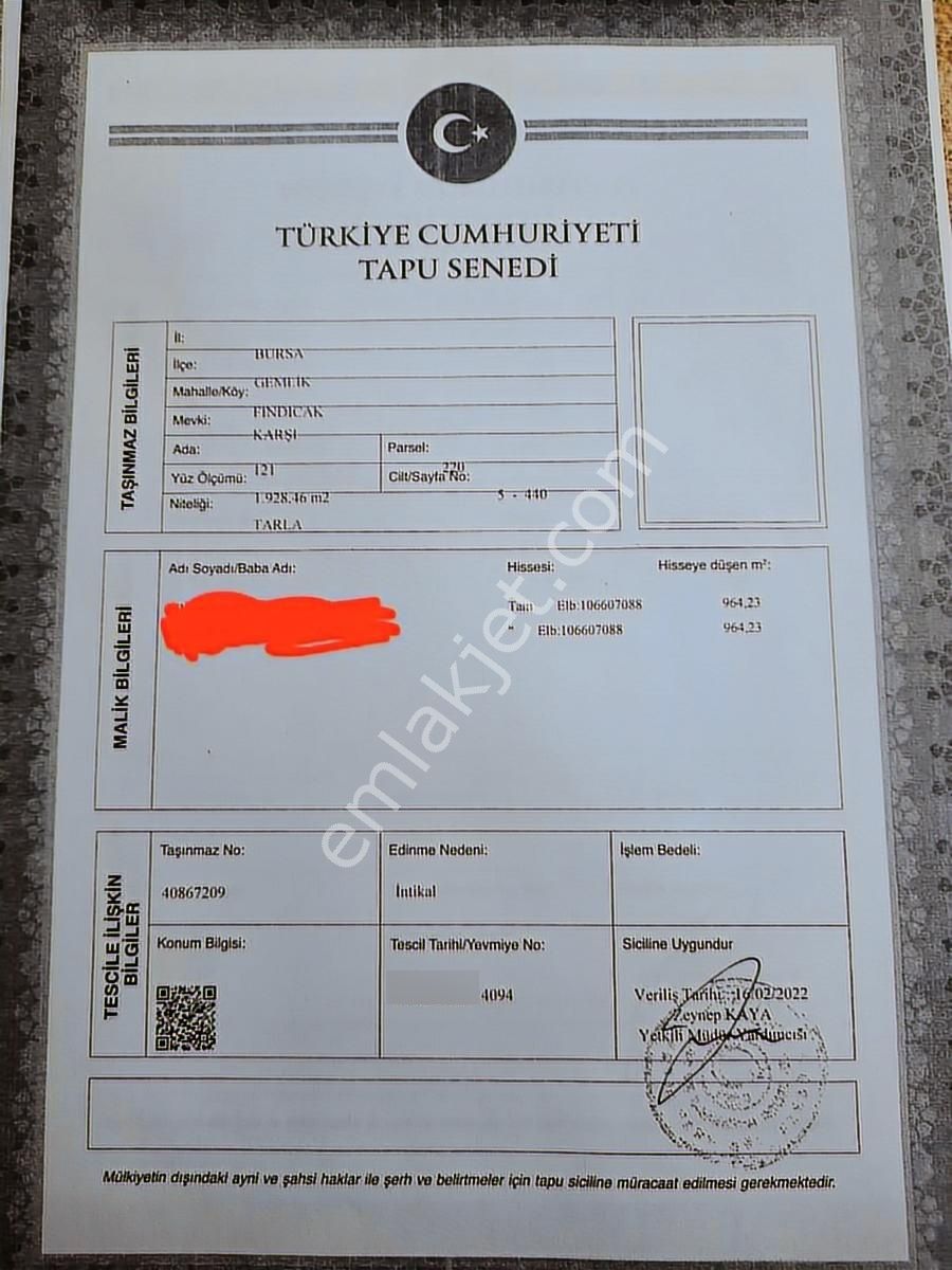 Bursa Gemlik Fındıcak Satılık 1928 M2 Tarla. Emniyet Emlak Ofisi - Görsel 4