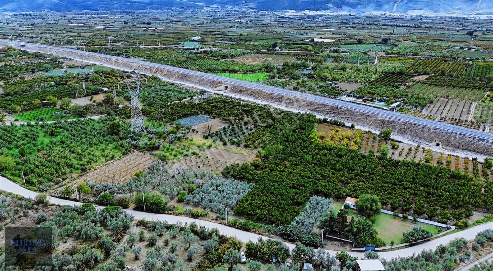 Narlıdere'de Asfalta Cepheli Satılık Zeytinlik - Görsel 33