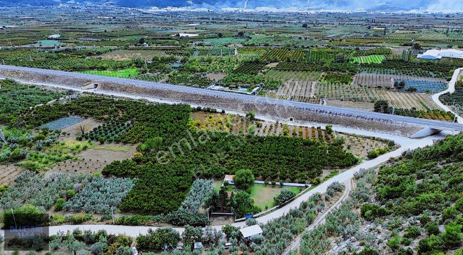 Narlıdere'de Asfalta Cepheli Satılık Zeytinlik - Görsel 34