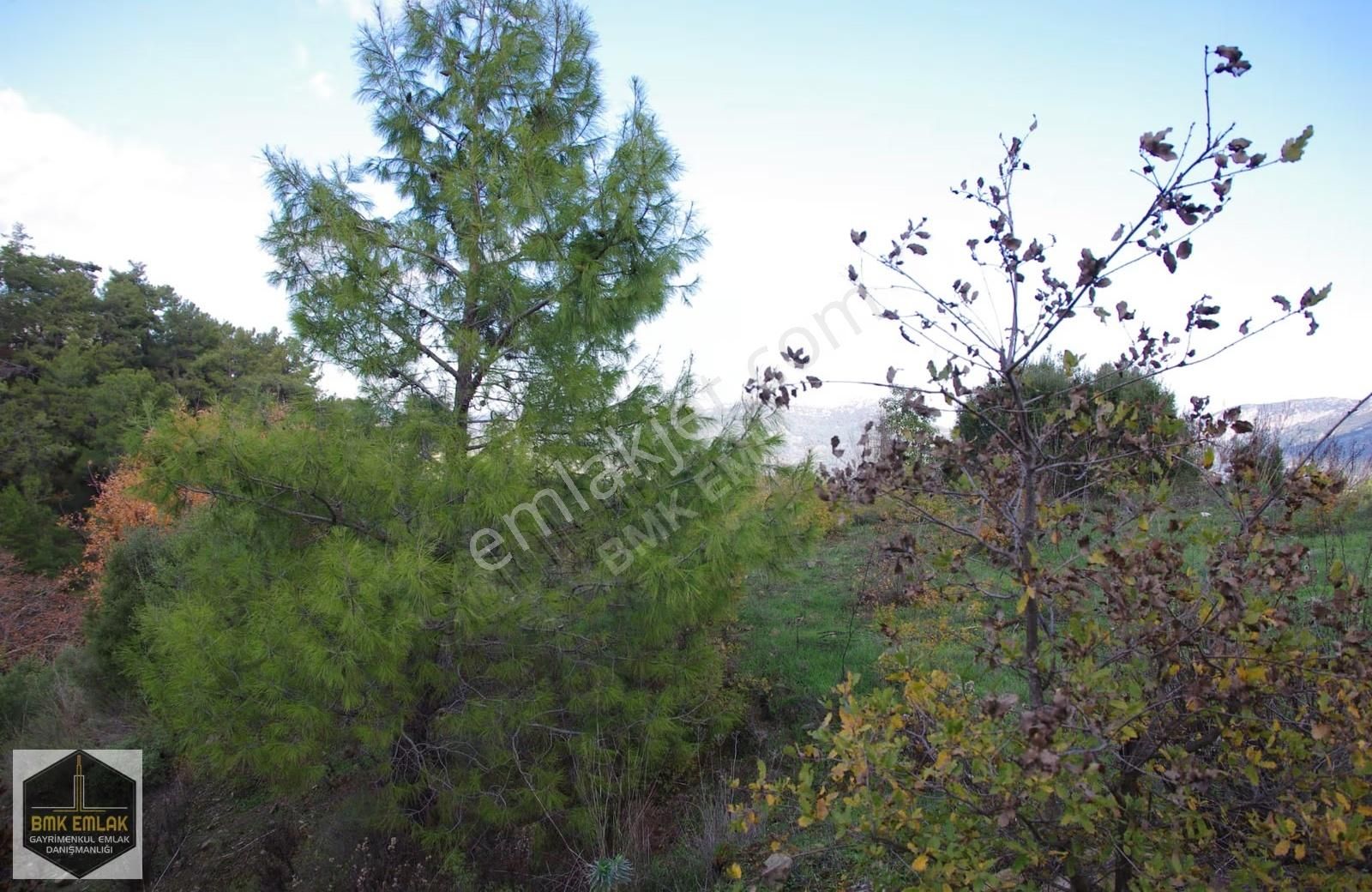 Bmkdan Belen'de Muhteşem Deniz Manzaralı Tek Tapu Tarla - Görsel 31