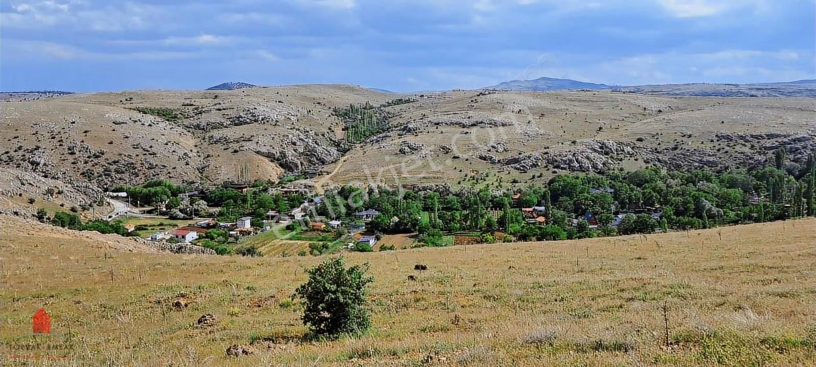 Acil Satılık Seydişehir Yoluna Cephe 1920m2 Tarla - Görsel 9