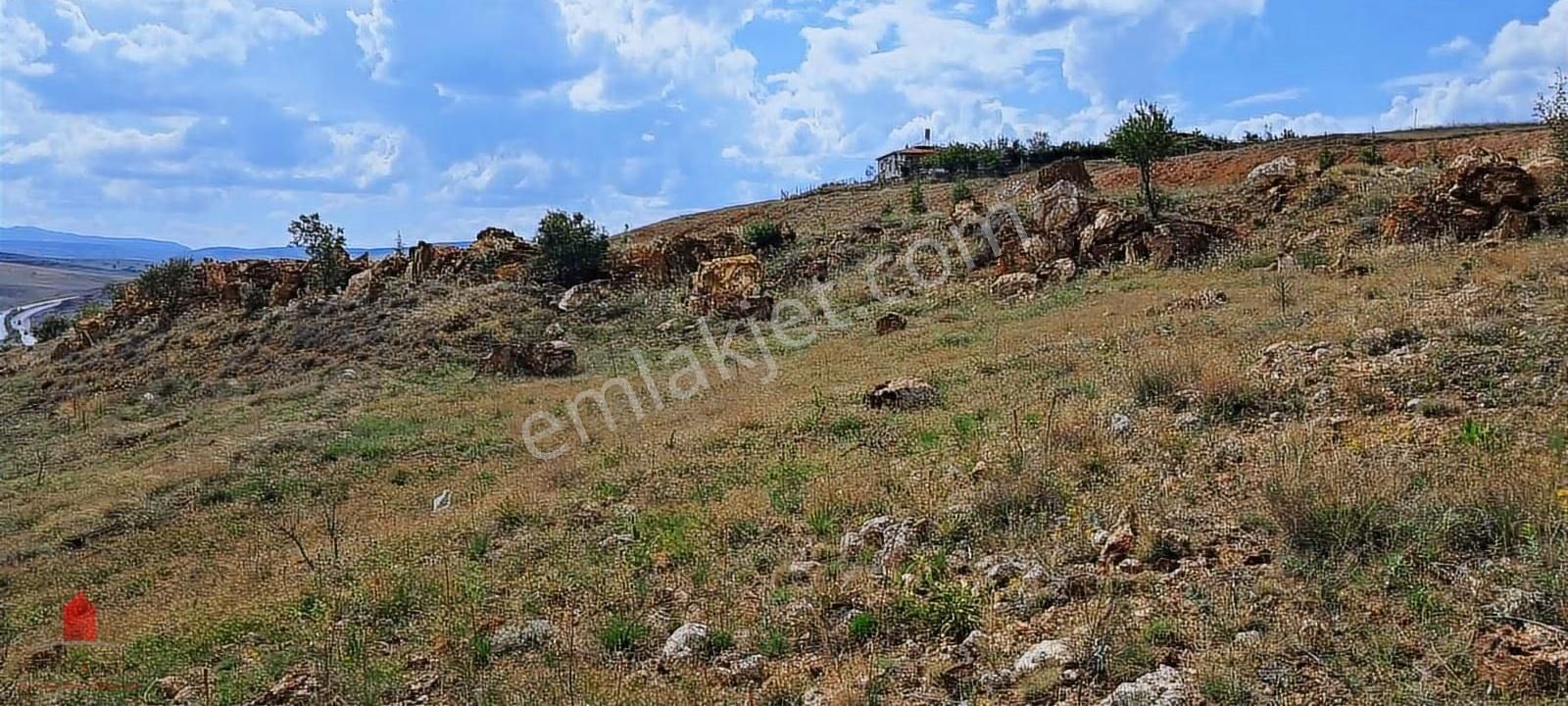Acil Satılık Seydişehir Yoluna Cephe 1920m2 Tarla - Görsel 12