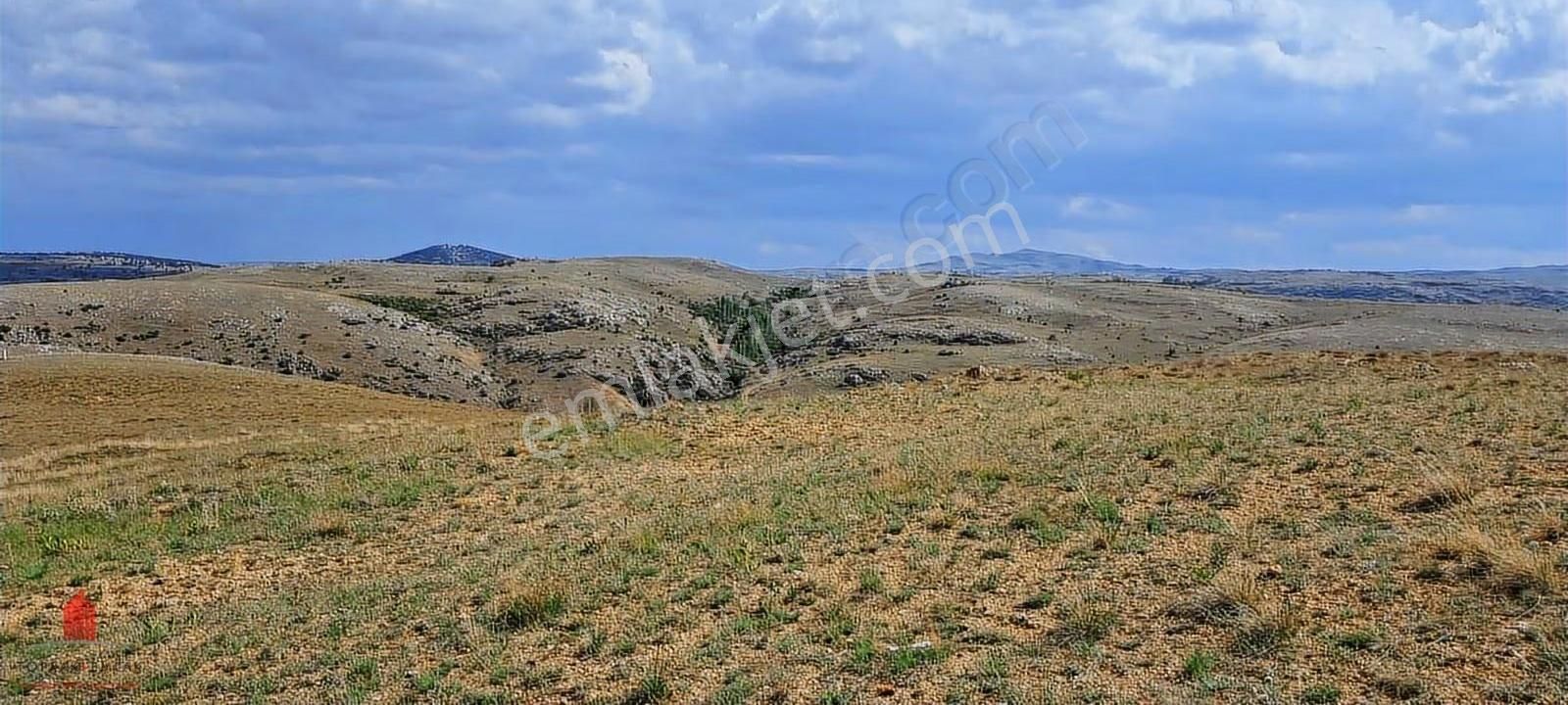 Acil Satılık Seydişehir Yoluna Cephe 1920m2 Tarla - Görsel 4