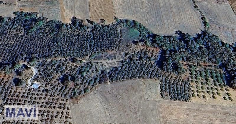 Re/max Mavi Güvencesiyle 707 M² Ana Yol Cepheli Arazi