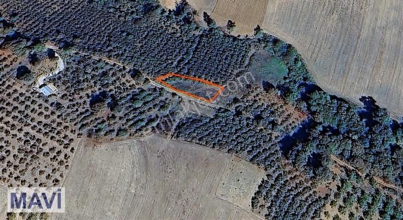 Re/max Mavi Güvencesiyle 707 M² Ana Yol Cepheli Arazi - Görsel 3