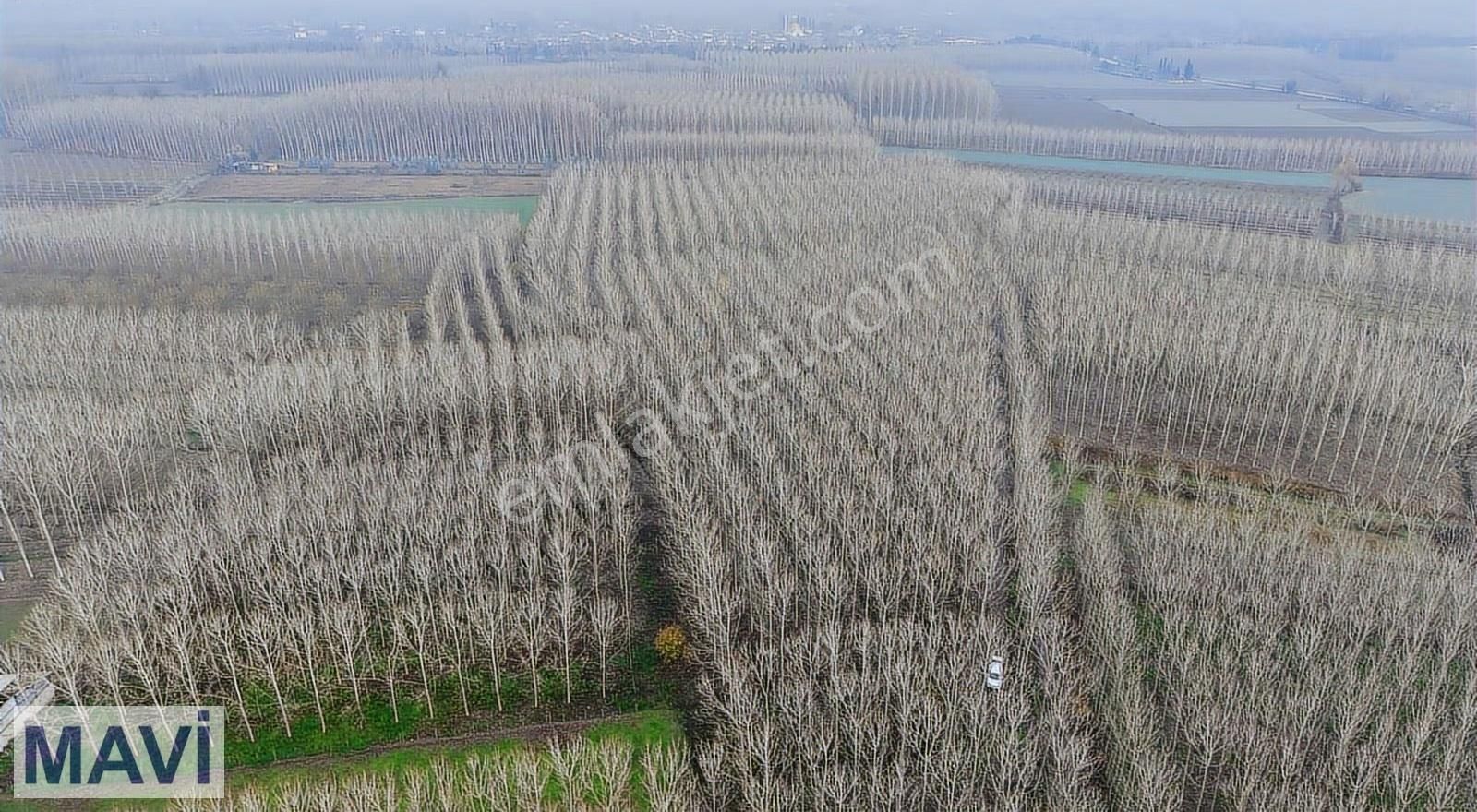 Remax Mavi Cengiz Özdemir'den 13.682,74 M² Arazi - Görsel 2