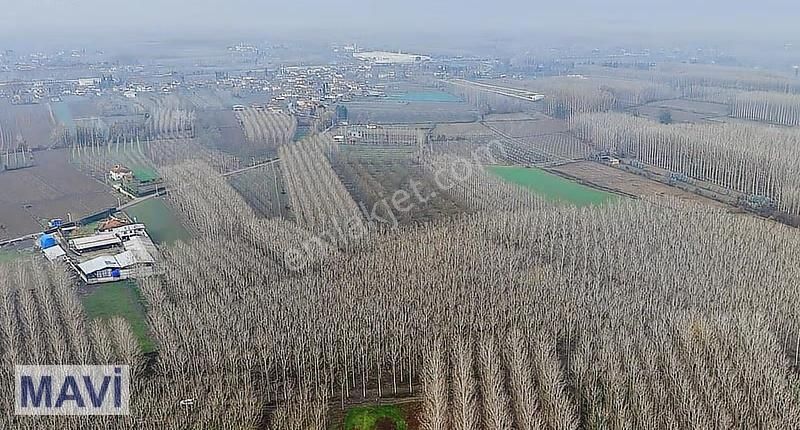 Remax Mavi Cengiz Özdemir'den 13.682,74 M² Arazi