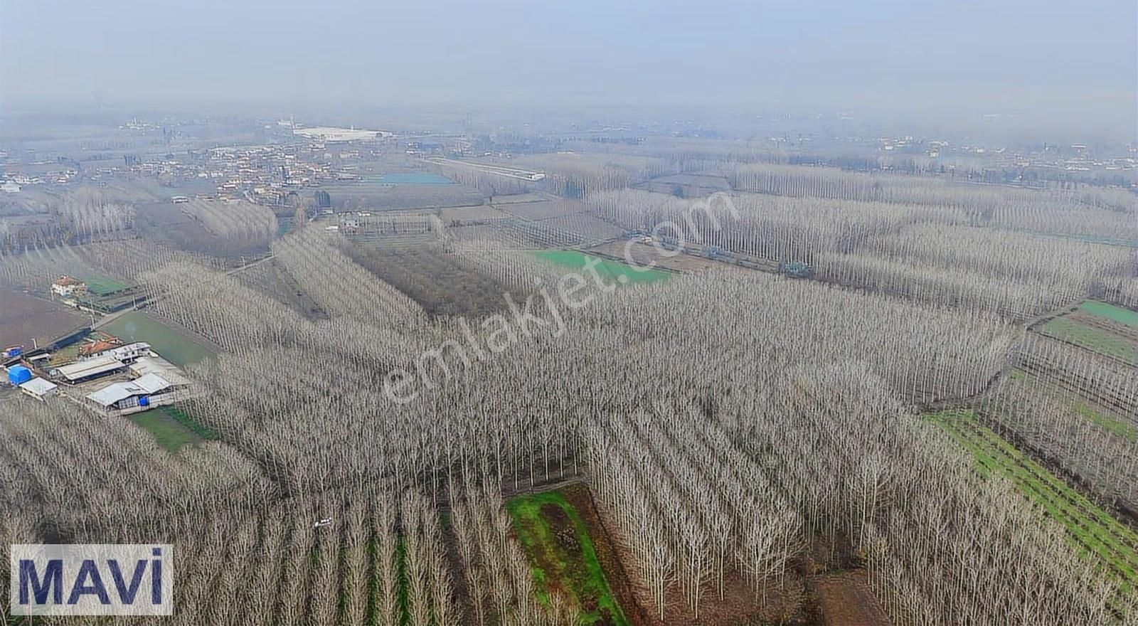 Remax Mavi Cengiz Özdemir'den 13.682,74 M² Arazi - Görsel 5