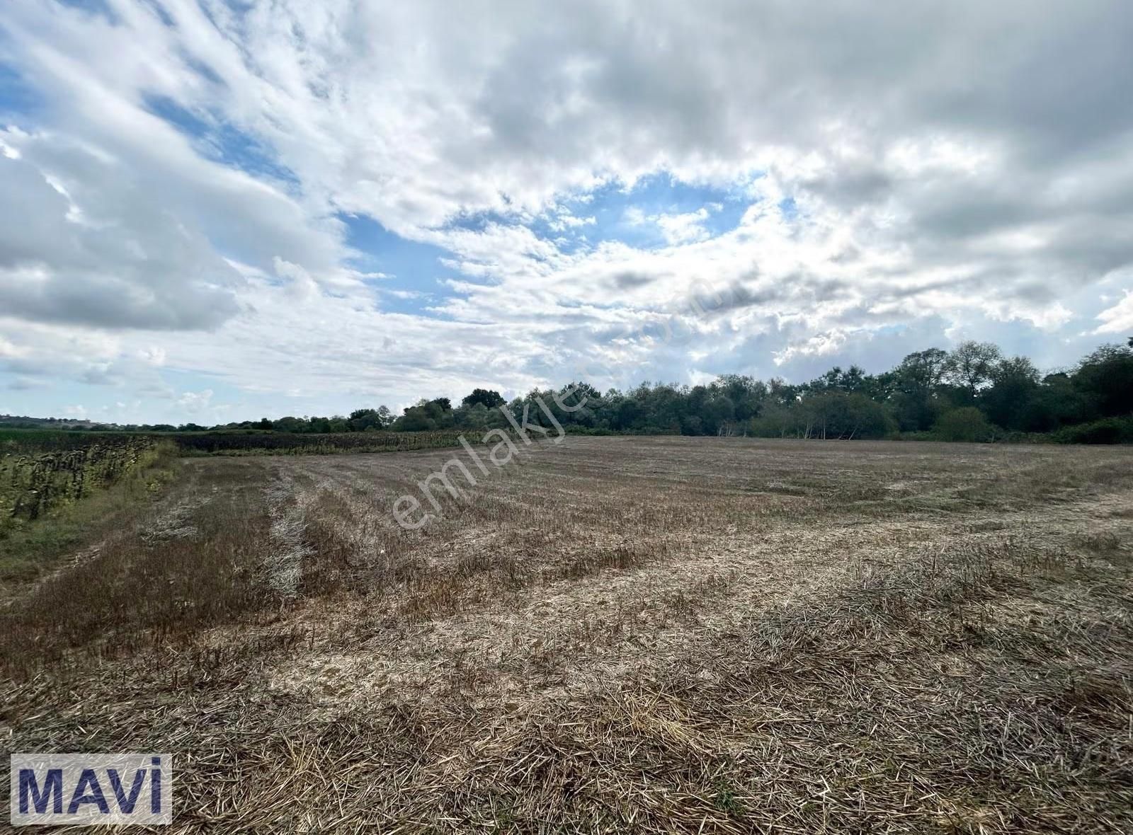 Remax Mavi'den Karasu Duble Yoluna Yakın Satılık Tarla - Görsel 11