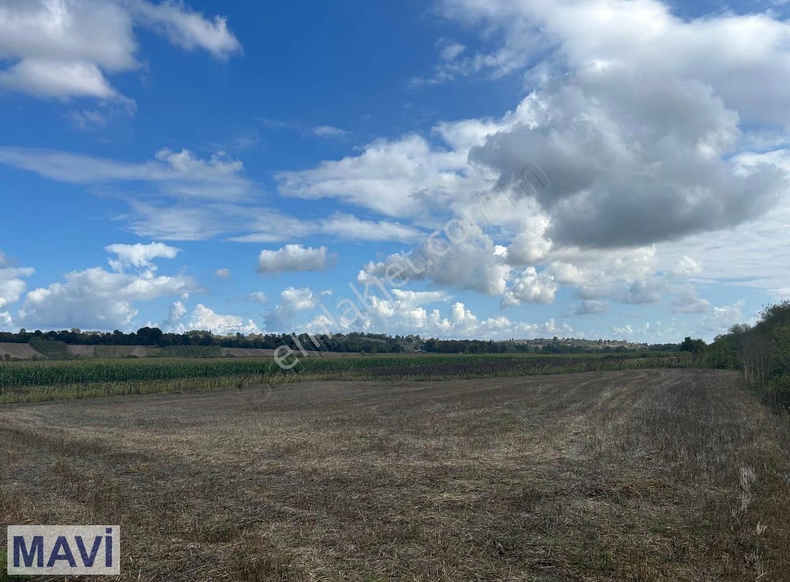 Remax Mavi'den Karasu Duble Yoluna Yakın Satılık Tarla - Görsel 5