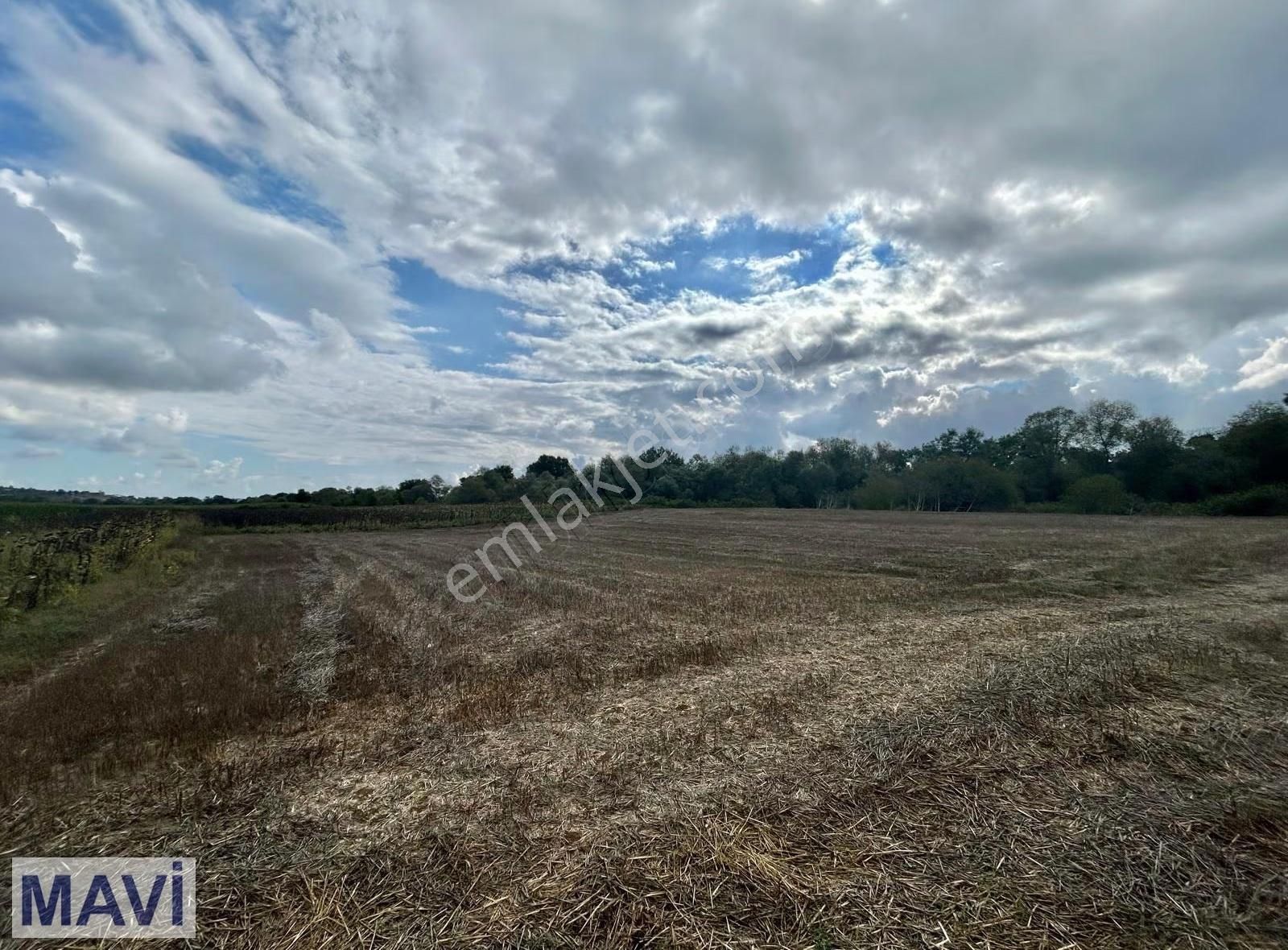 Remax Mavi'den Karasu Duble Yoluna Yakın Satılık Tarla - Görsel 7