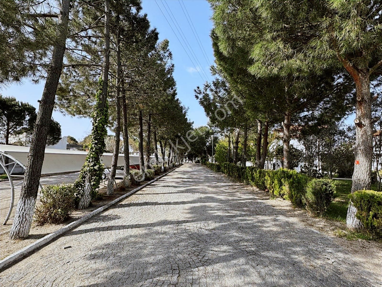 Ayvalık'ta Denize 100m Müstakil 3+1 Villa - Görsel 30