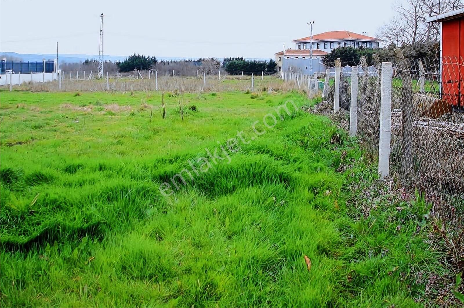 Köy Merkezi Dibinde 980 M2 Satılık Arsa - Görsel 2